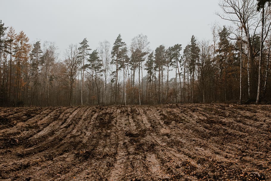 Středa bude polojasná, ráno ale budou ojediněle mrznoucí mlhy