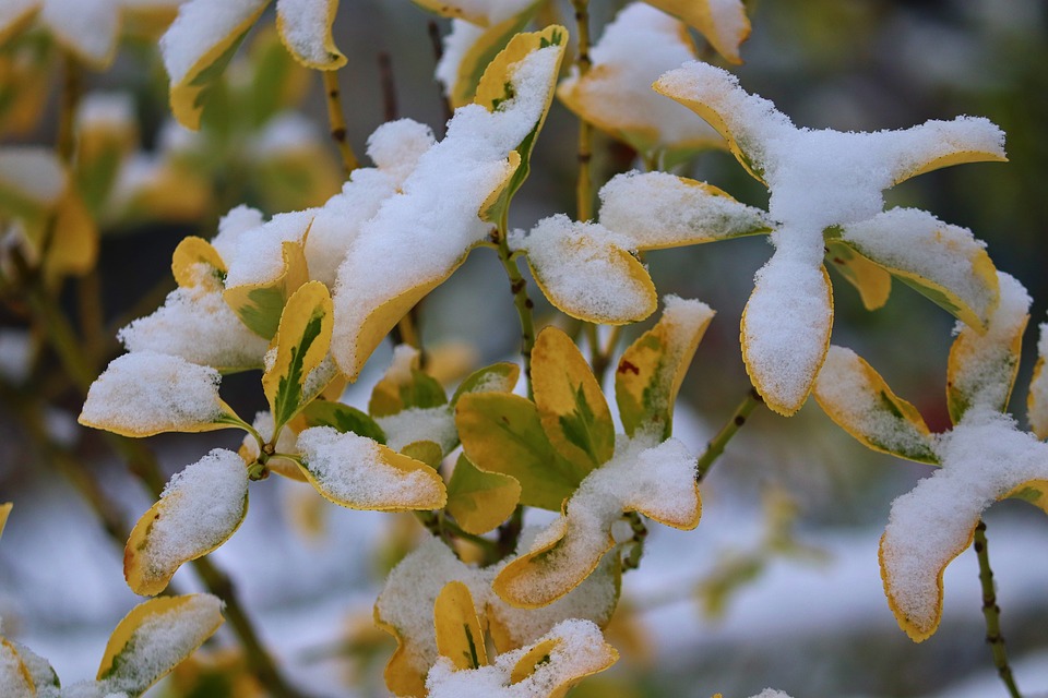 V pátek ještě bude až 11 °C, o víkendu ale přijde ochlazení