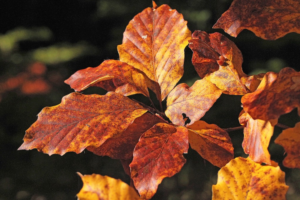 I v příštím týdnu vystoupají teploty na východě území až k 14 °C