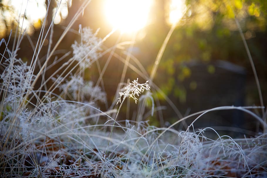 V sobotu přijde ochlazení, naměříme maximálně 5 °C