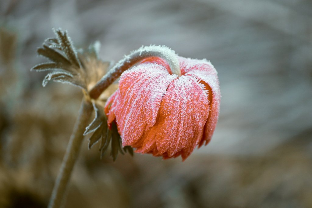 V úterý budou teploty stoupat jen k 4 °C