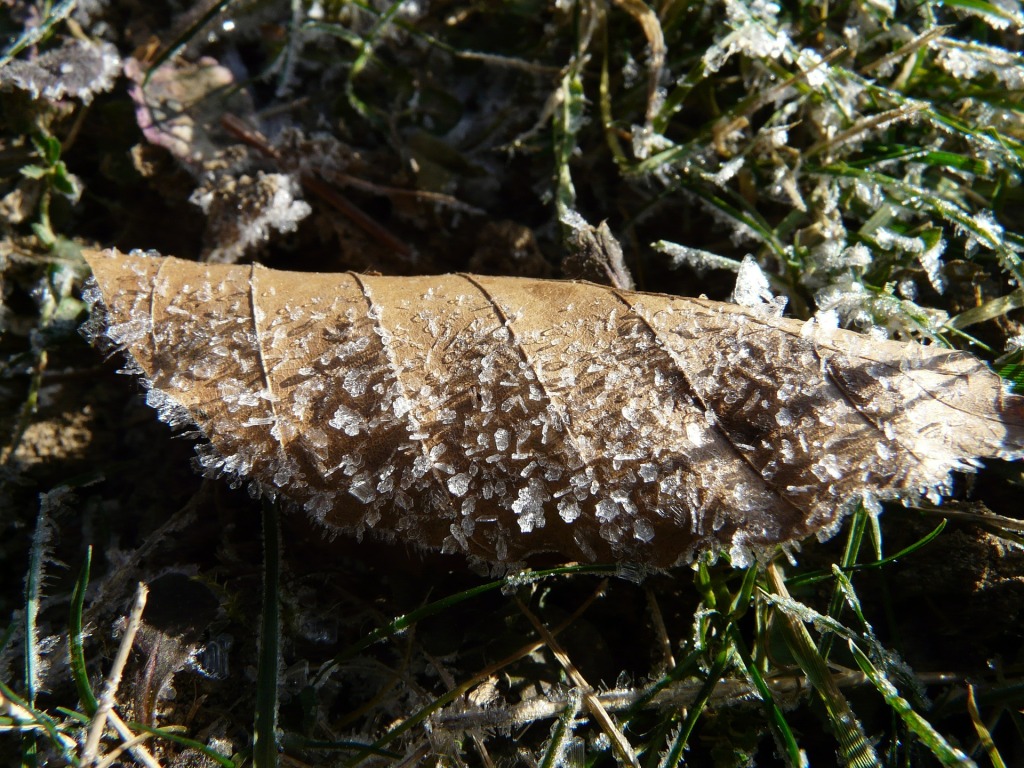 V noci na pondělí budou teploty místy klesat až k -8 °C, dalších srážek se dočkáme až ke konci týdne