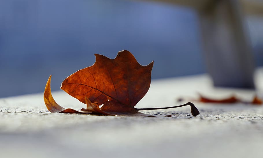 V pátek naměříme maximálně kolem 4 °C