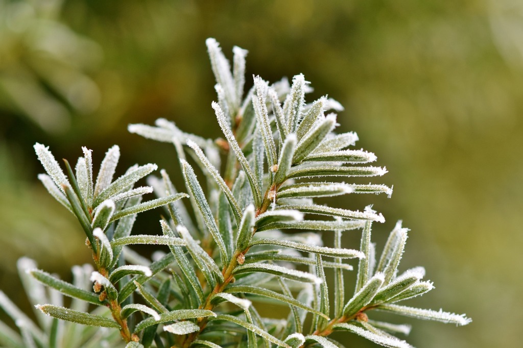 Také ve středu očekáváme četné srážky, teploty budou stoupat k 7 °C