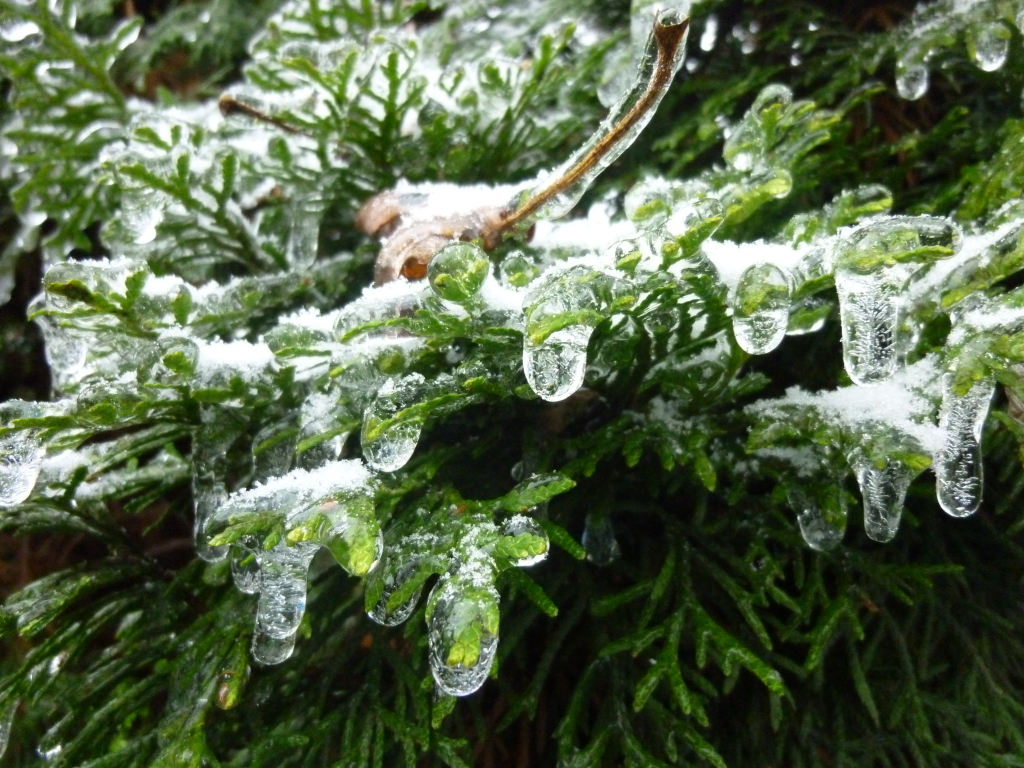 V pondělí se ojediněle objeví ledovka, koncem pracovního týdne ale naměříme až 9 °C