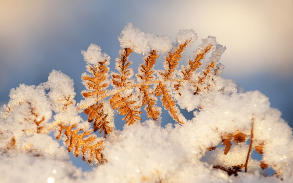 Na jihu Čech ve středu naměříme až 7 °C, na Moravě ale bude podstatně chladněji