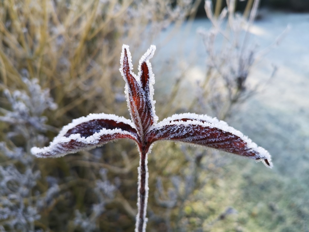 V neděli nás čeká ochlazení, teploty vystoupají jen ke 4 °C