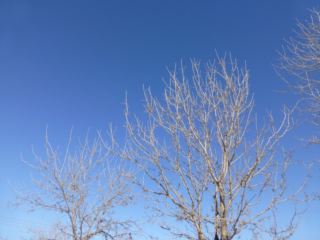 Při jasné obloze budou ve středu teploty stoupat až k 10 °C