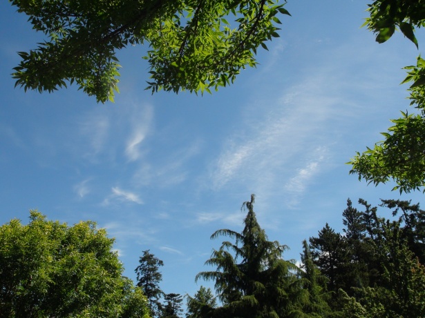 V úterý naměříme maximálně kolem 5 °C