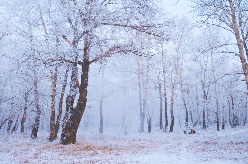 Páteční nejvyšší teploty se budou pohybovat kolem 8 °C
