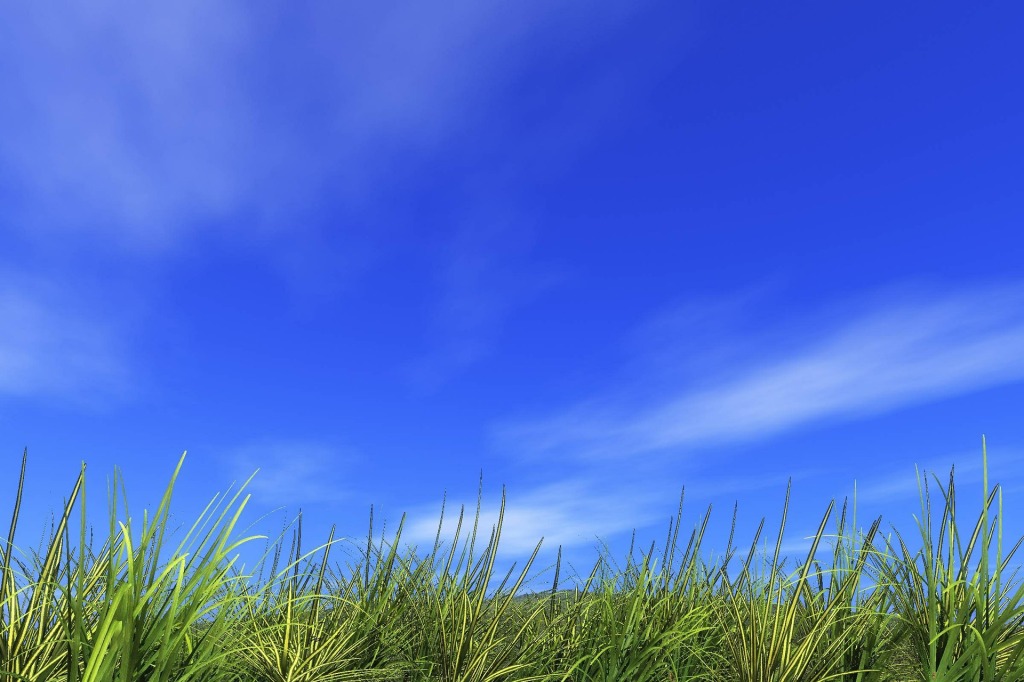 V úterý budou teploty stoupat až k 34 °C, večer přijdou bouřky