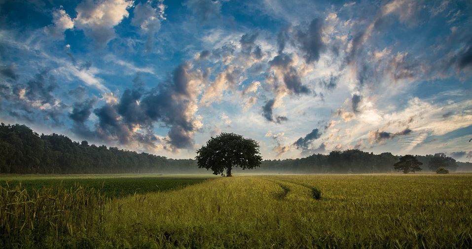 Úterý beze srážek a s teplotami do 25 °C