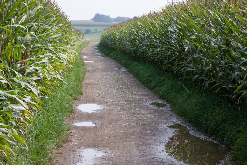 Úterý s přeháňkami a teplotami do 26 °C