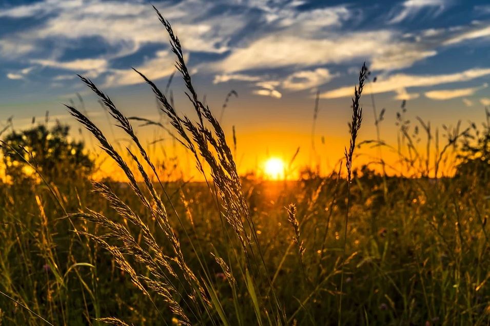 Úterý s teplotami kolem 20 °C a jasnou oblohou