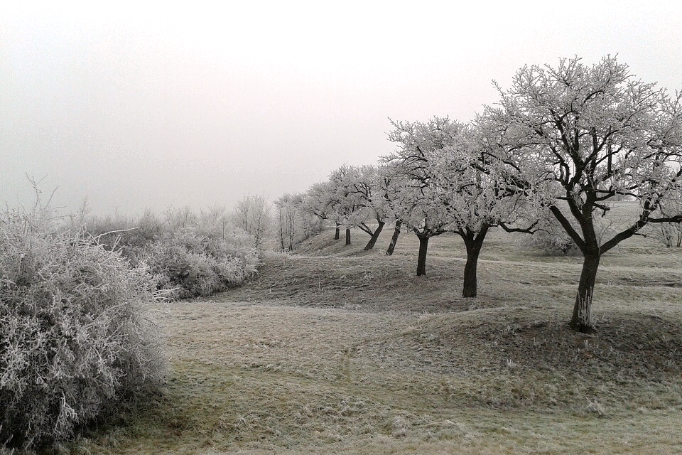 Teploměry naměřily téměř minus 15 stupňů
