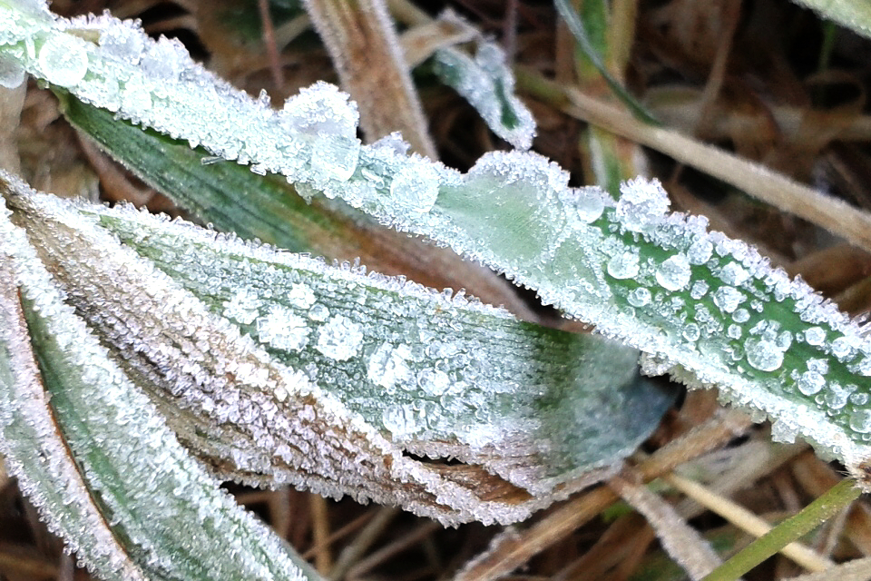 Mráz se vrátil, ráno bylo znovu až kolem -15 °C