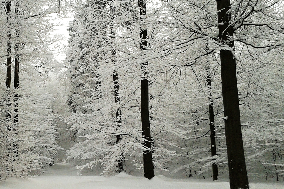 Ve středu se začne ochlazovat