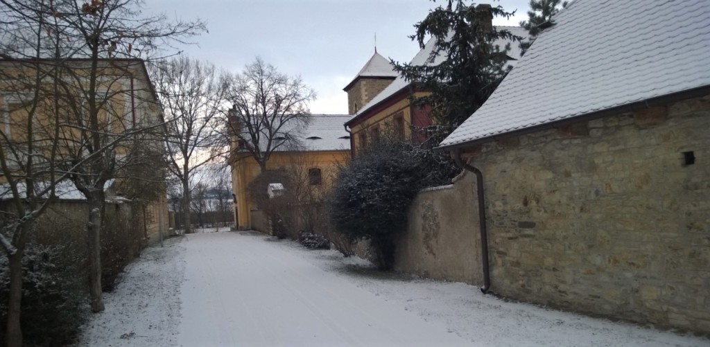 Denní teploty v sobotu pod bodem mrazu