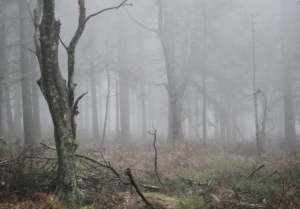 Zatažené pondělí s deštěm nebo sněžením