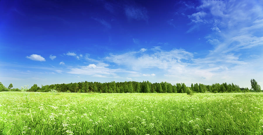 Sobota bude slunečná, teploty vyšplhají až na letních 25 °C
