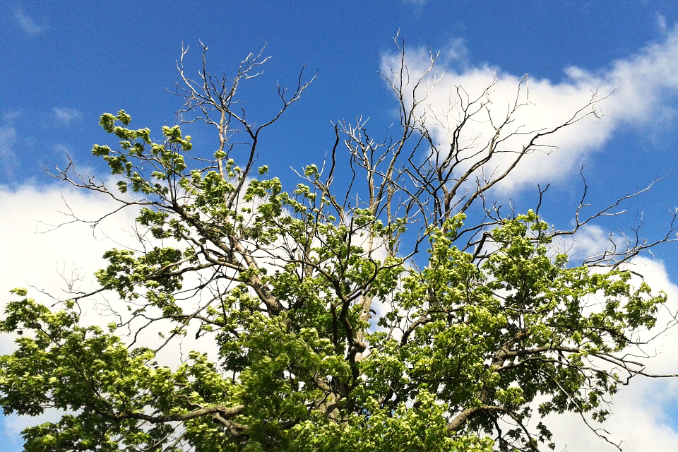 Do Česka se vrátilo léto, teploty překročily 25 °C