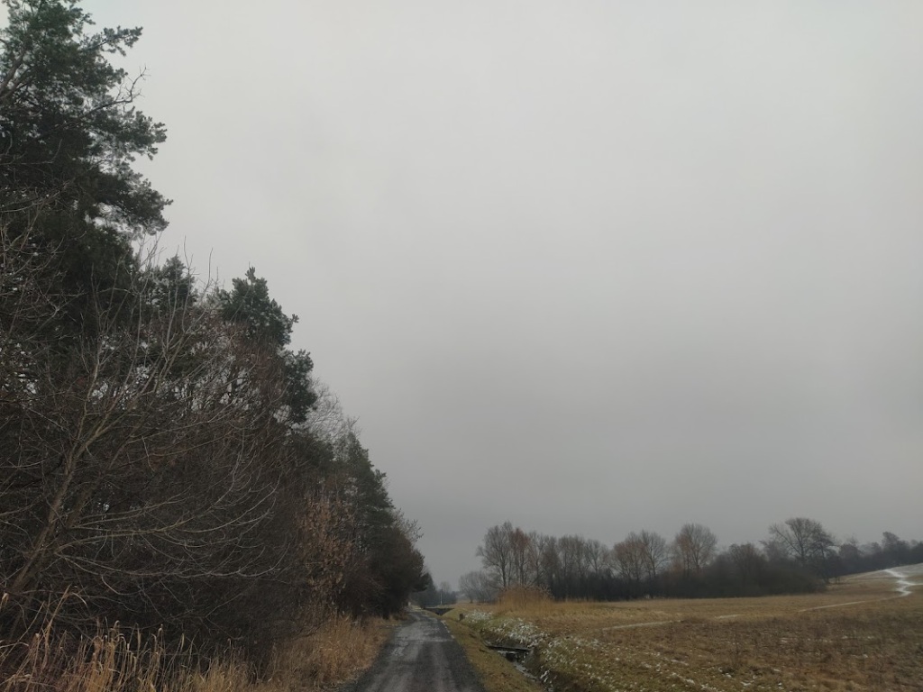 V pátek zataženo s přeháňkami, nad 400 m sněžení