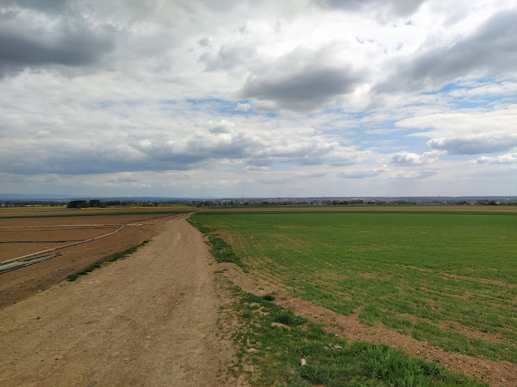 V pátek polojasno s teplotami kolem 17 °C