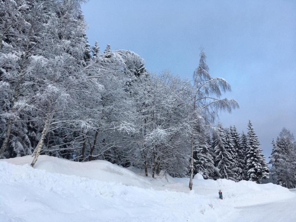 V sobotu sněžení, jen v nížinách déšť se sněhem nebo déšť