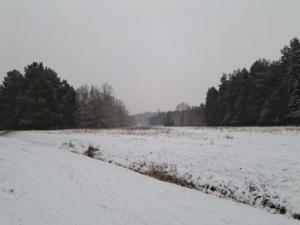 V pondělí většinou na severu slabé sněžení