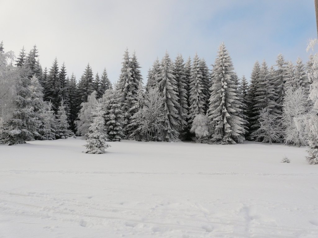V úterý ráno i pod -10 °C