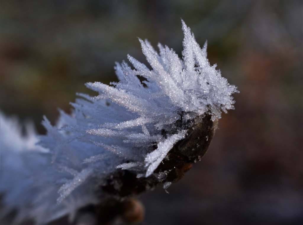 V pondělí přízemní mrazíky, odpoledne kolem 13 °C