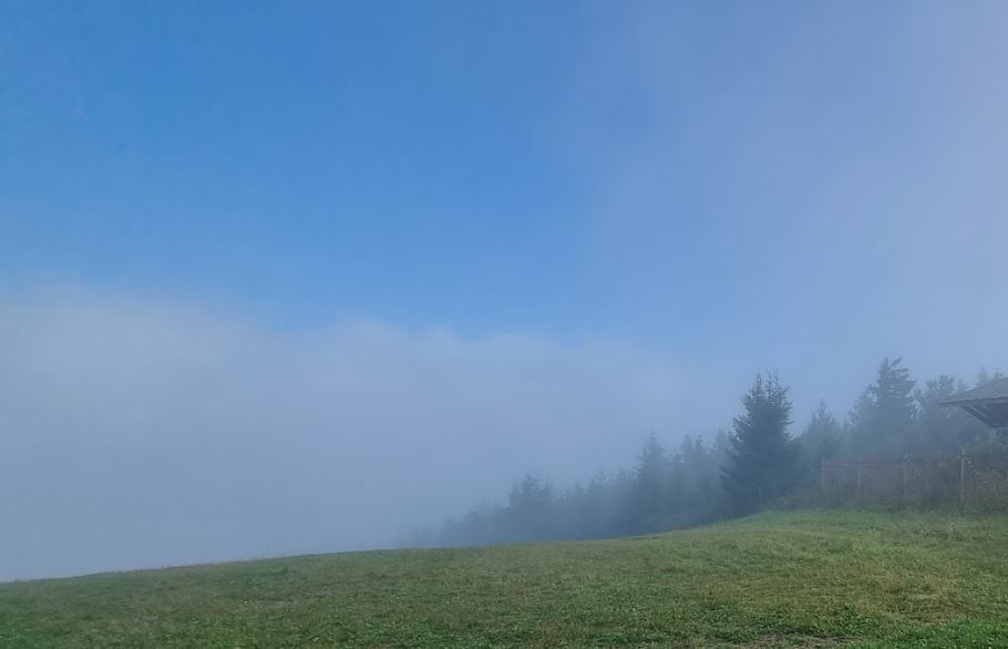 V neděli po rozpuštění mlh a nízké oblačnosti slunečno